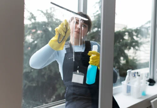 Nettoyage de vitres intérieures et extérieures à Chambœuf
